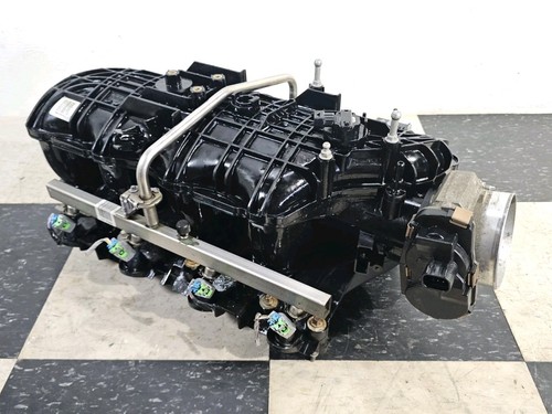 Tbss nbss cathedral style - gm,